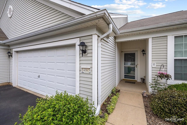 14065 Moraine Hills Dr, Huntley, IL 60142 - view of exterior entry with driveway, an attached garage, and roof with shingles