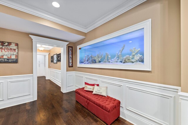 655 Thornwood Dr, Naperville, IL 60540 - living area with wainscoting, crown molding, dark wood-type flooring, and a decorative wall