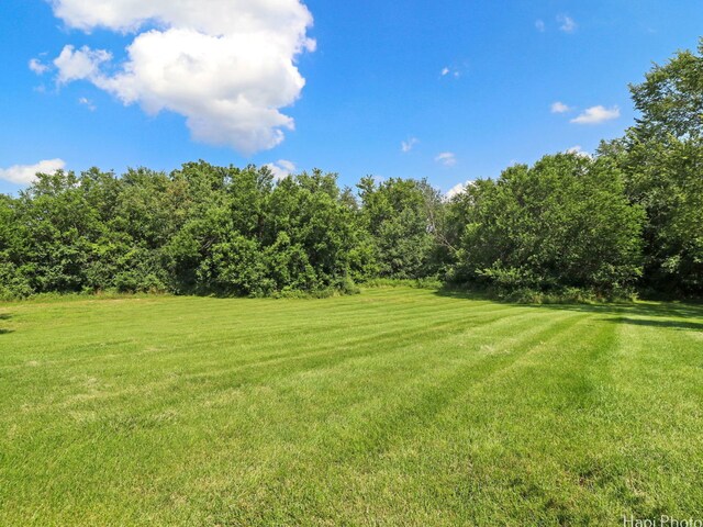 273 Donlea Rd, Barrington Hills, IL 60010 - view of grassy yard