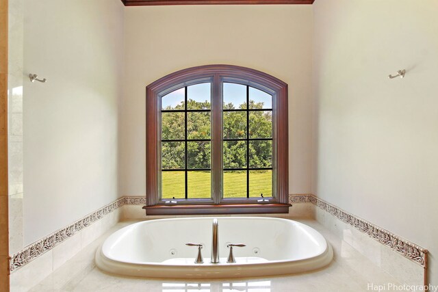 273 Donlea Rd, Barrington Hills, IL 60010 - bathroom featuring a tub with jets
