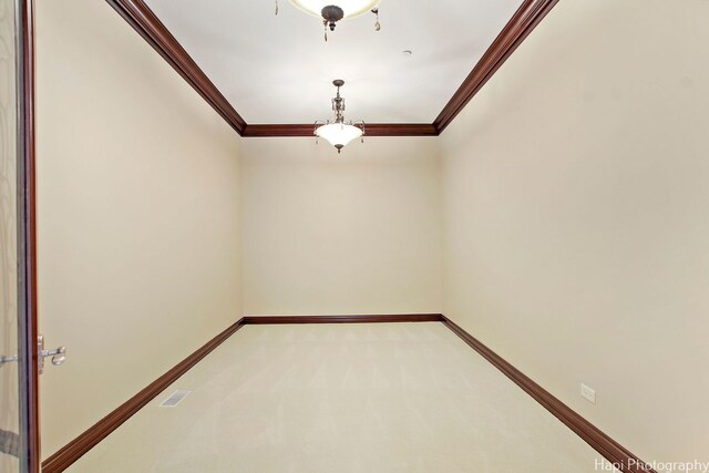 273 Donlea Rd, Barrington Hills, IL 60010 - spare room featuring crown molding, baseboards, and light carpet