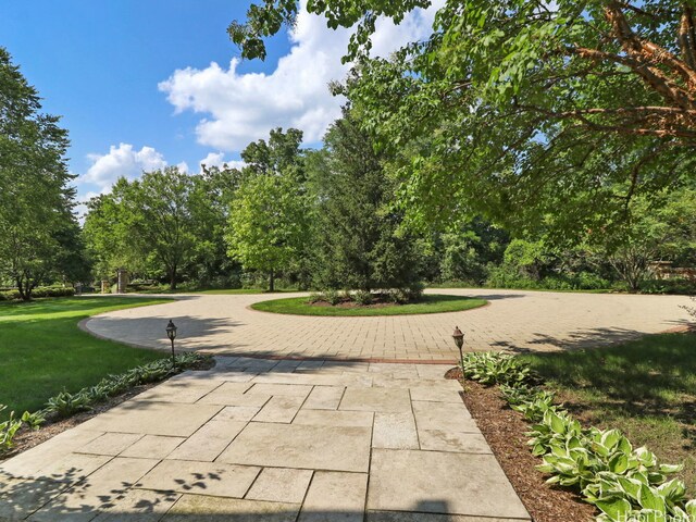 273 Donlea Rd, Barrington Hills, IL 60010 - view of property's community with a lawn