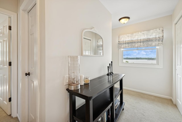 830 E Hillside Ave Unit 830, Barrington, IL 60010 - corridor with carpet flooring and baseboards