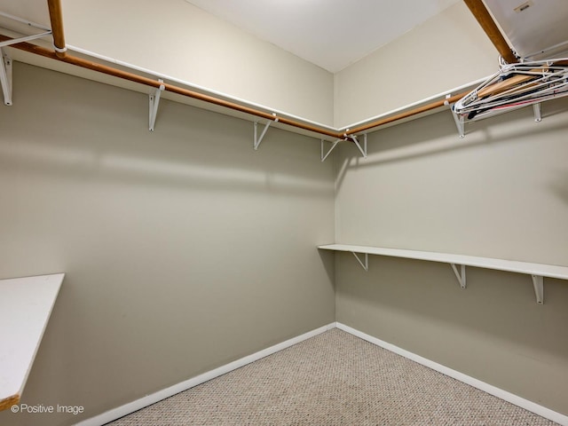 2023 W Armitage Ave, Chicago, IL 60647 - spacious closet with carpet floors