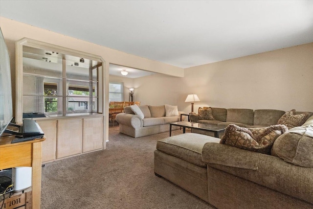 391 Northgate Rd, Lindenhurst, IL 60046 - living room featuring carpet flooring