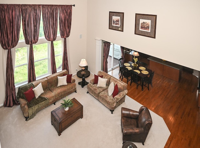 2621 Connolly Ln, West Dundee, IL 60118 - living room featuring wood finished floors