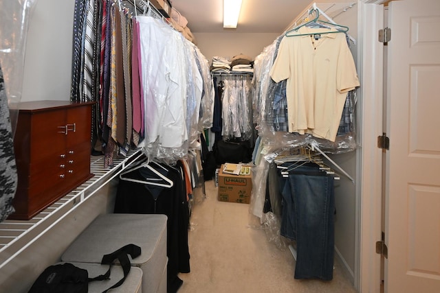 2621 Connolly Ln, West Dundee, IL 60118 - walk in closet featuring carpet