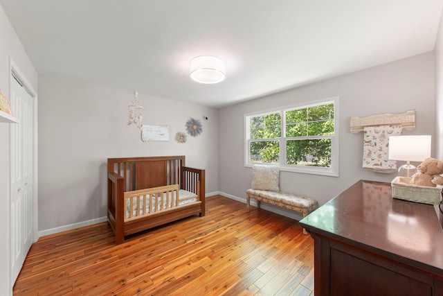 389 Pearson Cir, Naperville, IL 60563 - bedroom with a closet and light wood-style floors
