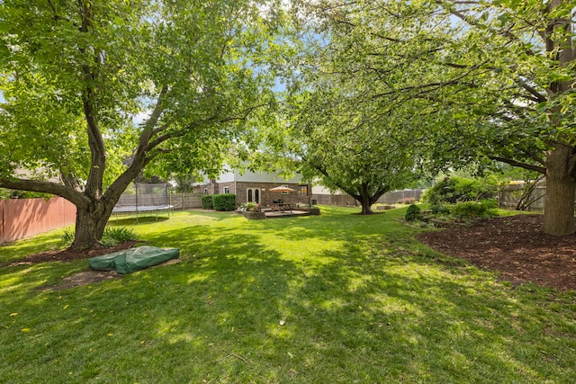 389 Pearson Cir, Naperville, IL 60563 - fenced backyard with a trampoline
