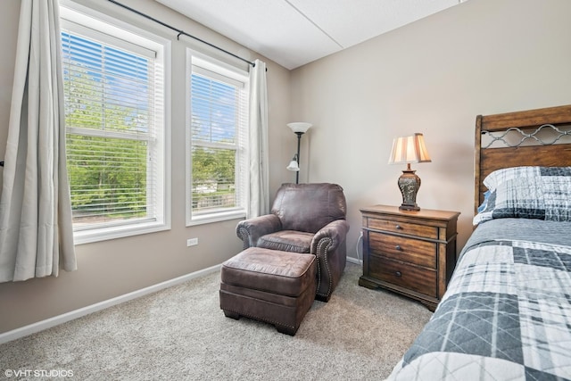 455 W Wood St Unit 210, Palatine, IL 60067 - bedroom with multiple windows, carpet, and baseboards