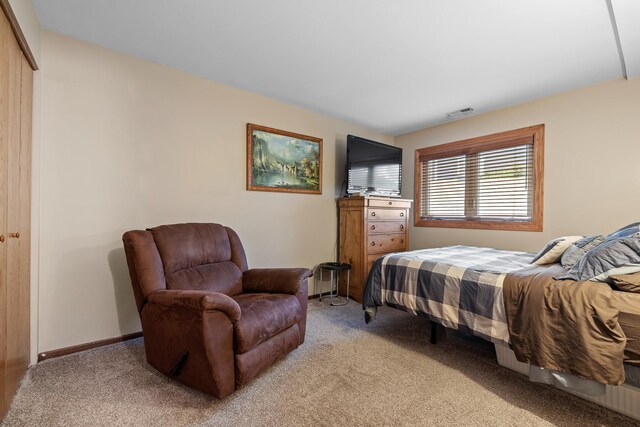 13641 W Ironwood Cir, Homer Glen, IL 60491 - bedroom with light colored carpet and a closet