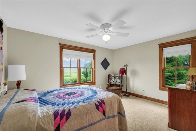 647 County Farm Rd, Monticello, IL 61856 - photo 32