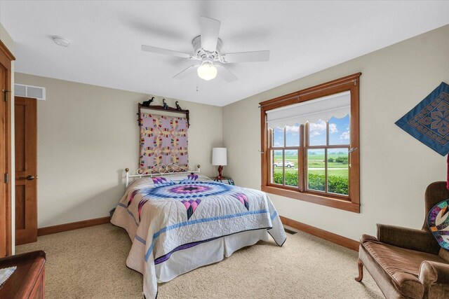 647 County Farm Rd, Monticello, IL 61856 - photo 33