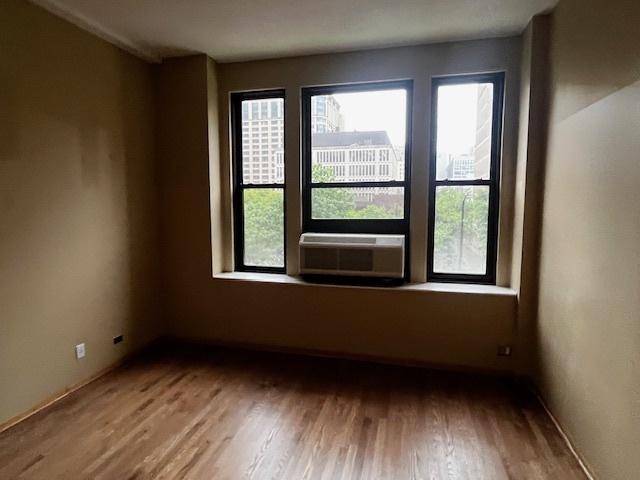 600 S Dearborn St Unit 308, Chicago, IL 60605 - spare room featuring healthy amount of natural light, wood finished floors, and baseboards