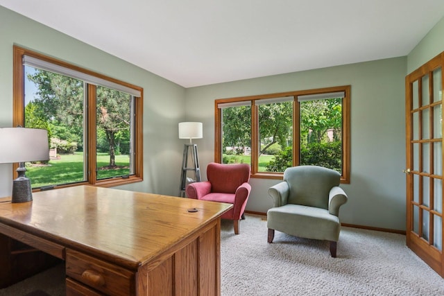 11624 Kluth Ct, Mokena, IL 60448 - office with light colored carpet and baseboards
