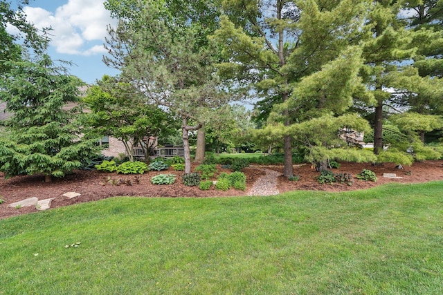 11624 Kluth Ct, Mokena, IL 60448 - view of grassy yard