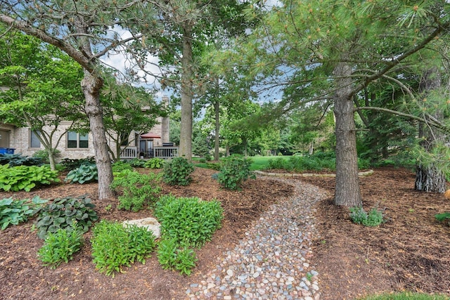 11624 Kluth Ct, Mokena, IL 60448 - view of yard