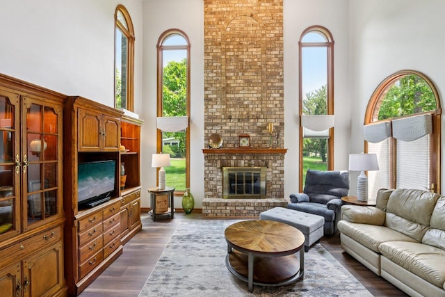 11624 Kluth Ct, Mokena, IL 60448 - living area with a high ceiling, a fireplace, and dark wood-style flooring