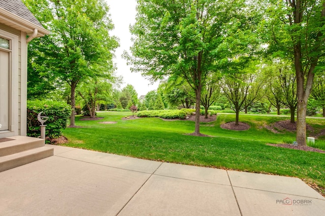 3 Joshua Ct, South Barrington, IL 60010 - view of green lawn