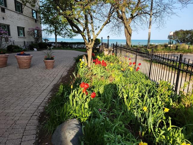 1050 W Columbia Ave Unit 3H, Chicago, IL 60626 - view of community with a water view
