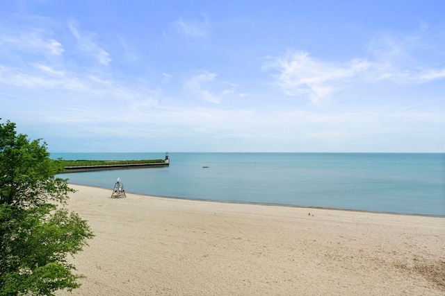 1050 W Columbia Ave Unit 3H, Chicago, IL 60626 - water view