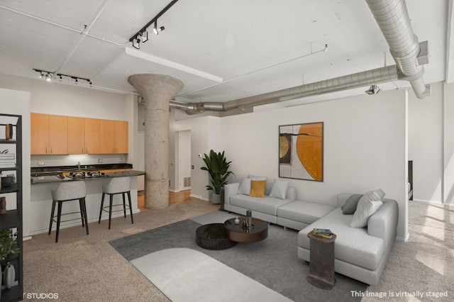 130 S Canal St Unit 210, Chicago, IL 60606 - living room featuring rail lighting and light colored carpet