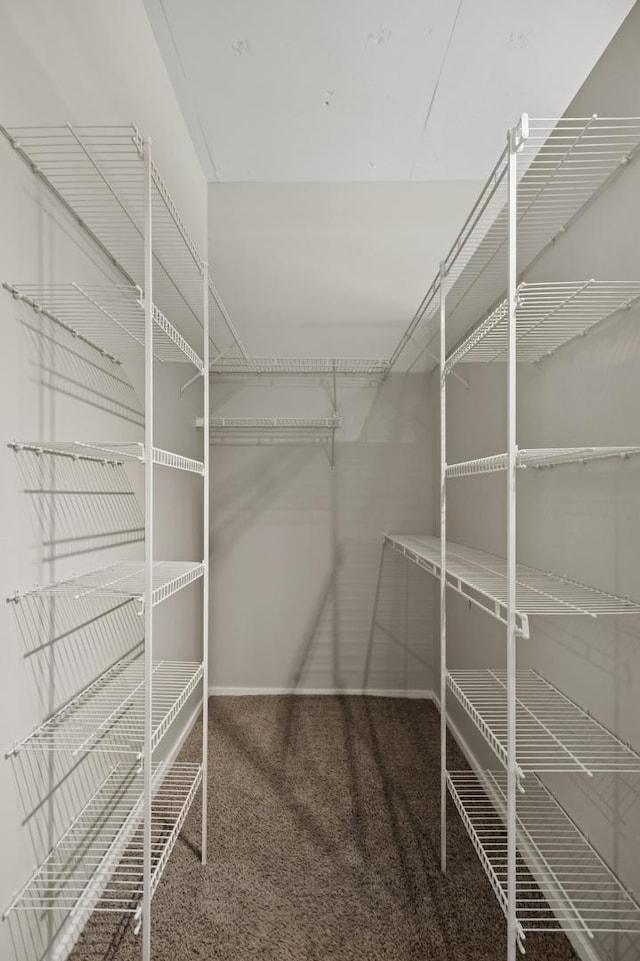 130 S Canal St Unit 210, Chicago, IL 60606 - spacious closet with carpet floors