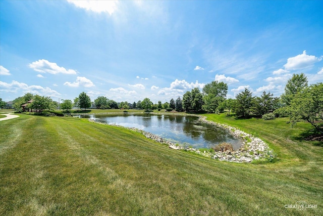 28 Waterbury Cir, Oswego, IL 60543 - water view
