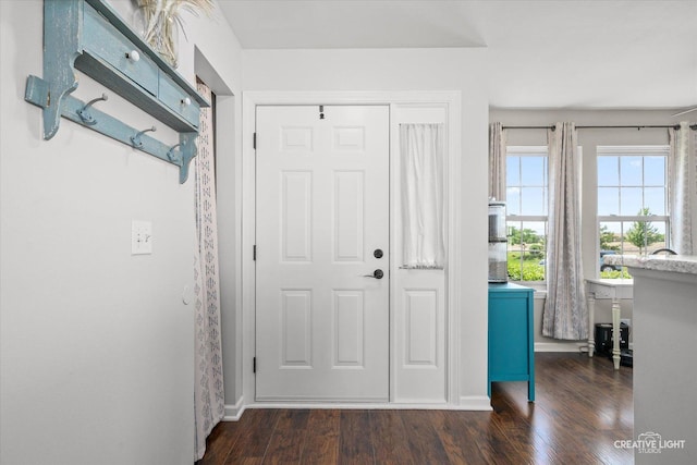 28 Waterbury Cir, Oswego, IL 60543 - entrance foyer with dark wood-type flooring