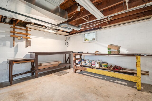 424 Robinson St, Earlville, IL 60518 - below grade area featuring a workshop area