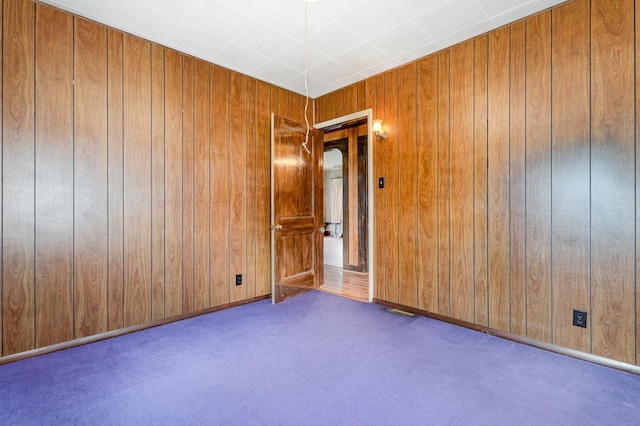424 Robinson St, Earlville, IL 60518 - carpeted spare room with wooden walls
