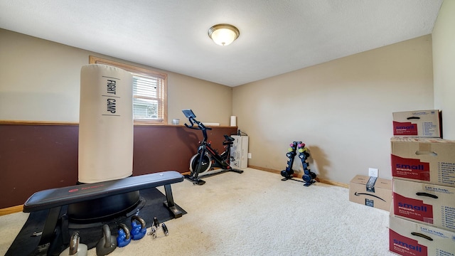 3894 E Whippoorwill Ln, Byron, IL 61010 - workout room with carpet flooring and baseboards