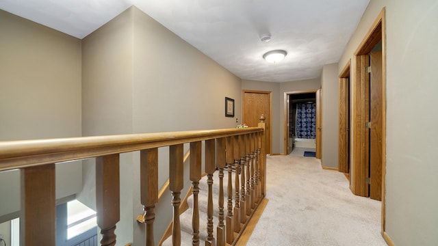 3894 E Whippoorwill Ln, Byron, IL 61010 - hallway with light colored carpet and baseboards