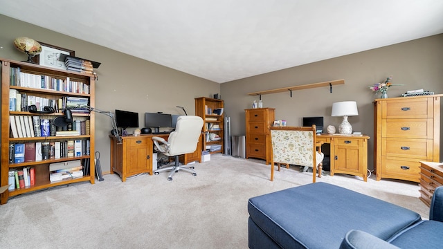 3894 E Whippoorwill Ln, Byron, IL 61010 - office area with carpet