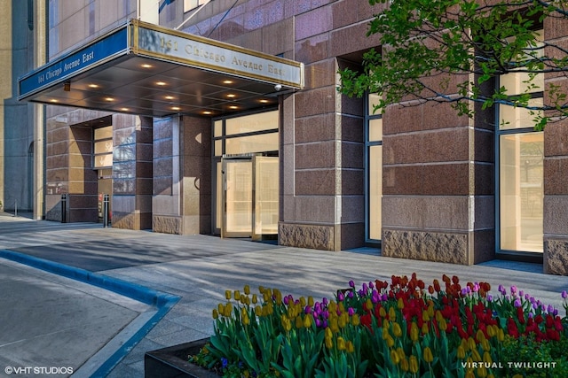 161 E Chicago Ave Unit 39F, Chicago, IL 60611 - view of exterior entry