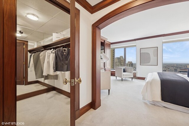 161 E Chicago Ave Unit 39F, Chicago, IL 60611 - bedroom featuring carpet flooring, baseboards, and a city view