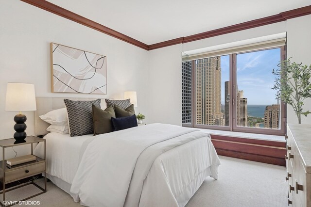 161 E Chicago Ave Unit 39F, Chicago, IL 60611 - bedroom featuring ornamental molding and light carpet