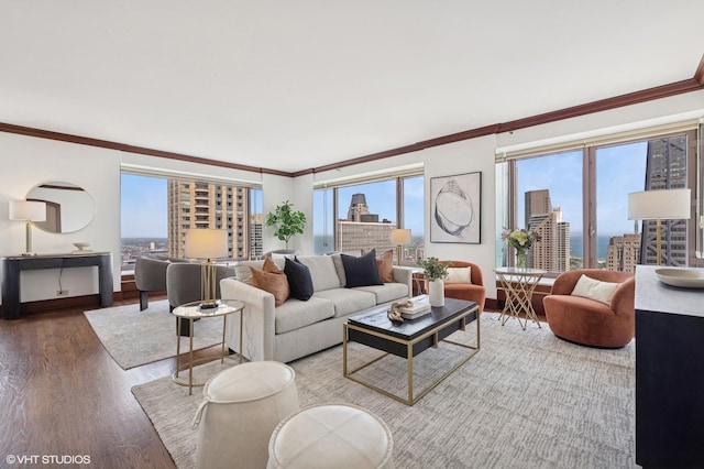 161 E Chicago Ave Unit 39F, Chicago, IL 60611 - living area with a city view, crown molding, baseboards, and wood finished floors