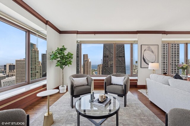 161 E Chicago Ave Unit 39F, Chicago, IL 60611 - living room featuring crown molding, wood finished floors, and a view of city