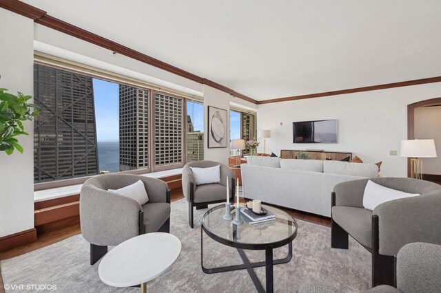 161 E Chicago Ave Unit 39F, Chicago, IL 60611 - living room with wood finished floors, crown molding, and arched walkways
