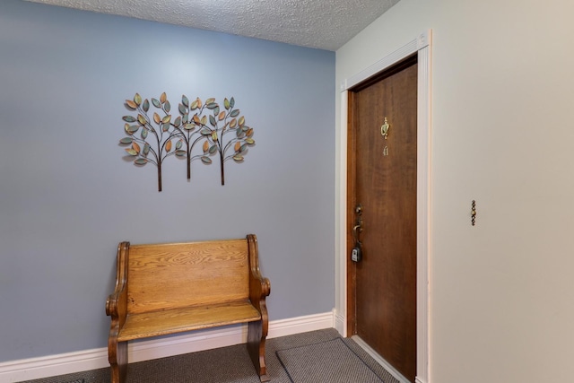 41 Brandywine Ct Unit 41, Bloomington, IL 61704 - carpeted foyer entrance with baseboards and a textured ceiling