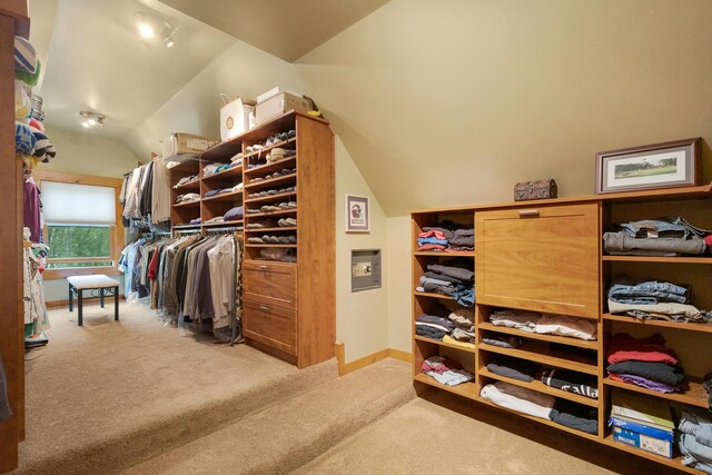 10415 Ridge Ln, Huntley, IL 60142 - spacious closet featuring light colored carpet and lofted ceiling