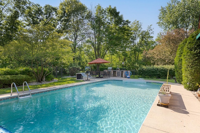 10415 Ridge Ln, Huntley, IL 60142 - swimming pool featuring a patio and view of scattered trees