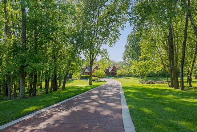 10415 Ridge Ln, Huntley, IL 60142 - view of community featuring a yard