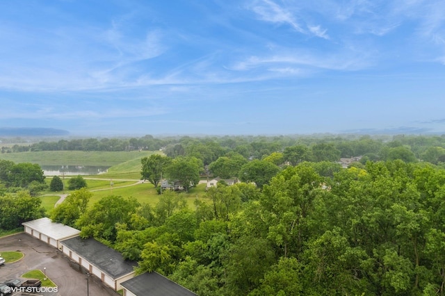 1 Renaissance Pl Unit 1018, Palatine, IL 60067 - drone / aerial view of a large body of water
