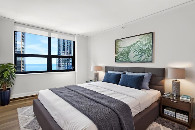 201 N Westshore Dr Unit 2102, Chicago, IL 60601 - bedroom featuring wood finished floors and baseboards