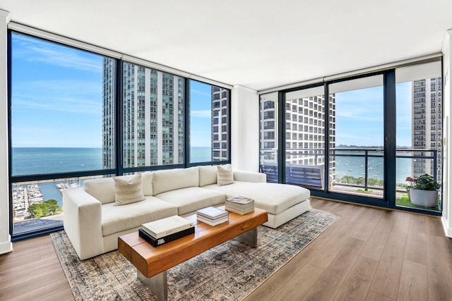 201 N Westshore Dr Unit 2102, Chicago, IL 60601 - living area with expansive windows, a water view, wood finished floors, and plenty of natural light