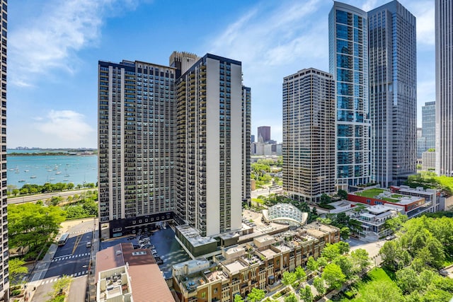 201 N Westshore Dr Unit 2102, Chicago, IL 60601 - skyline view with a large body of water