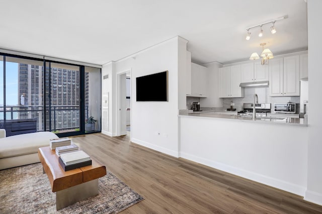 201 N Westshore Dr Unit 2102, Chicago, IL 60601 - living room featuring wood finished floors, baseboards, and a chandelier