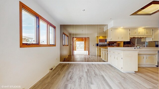 9138 Greenwood Ave, Des Plaines, IL 60016 - photo 12